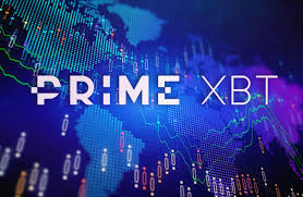 All You Need to Know About Wallet PrimeXBT All You Need to Know About Wallet PrimeXBT