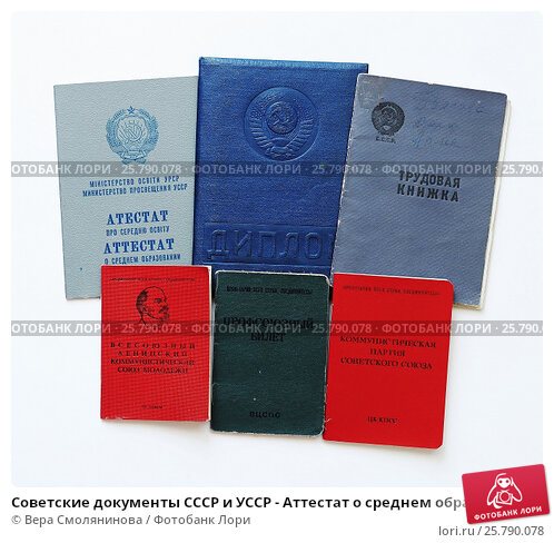 Купить диплом ВИЭСУ на бланке ГОЗНАК 962240298